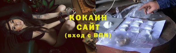 сатива Снежинск