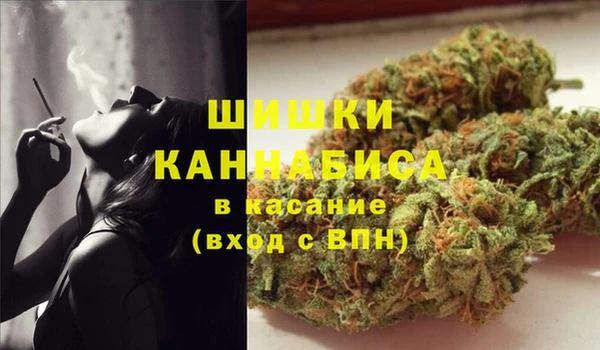 винт Аркадак