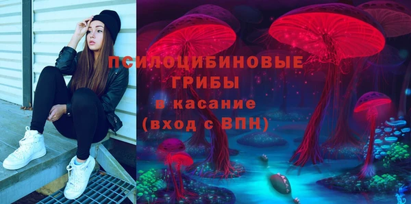 прущая мука Алексин